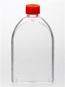 1012632 | Flask 150cm2 Canted Neck 50/cs